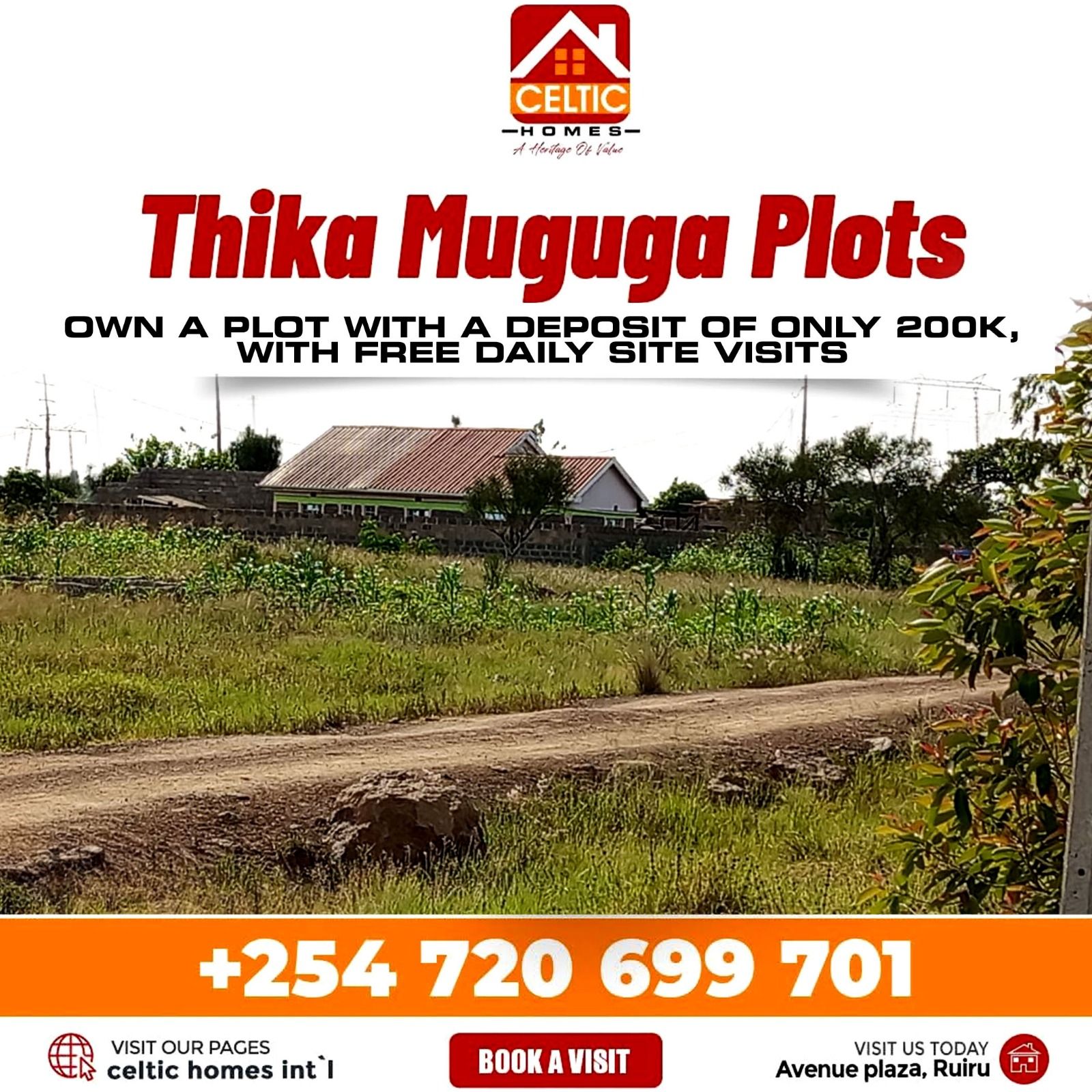 517243967 122251524488072419 3590464908670245254 n