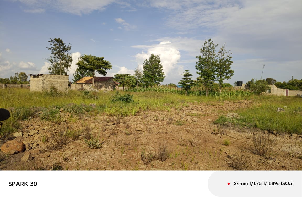 whatsapp image 2025 11 05 at 2.27.23 am