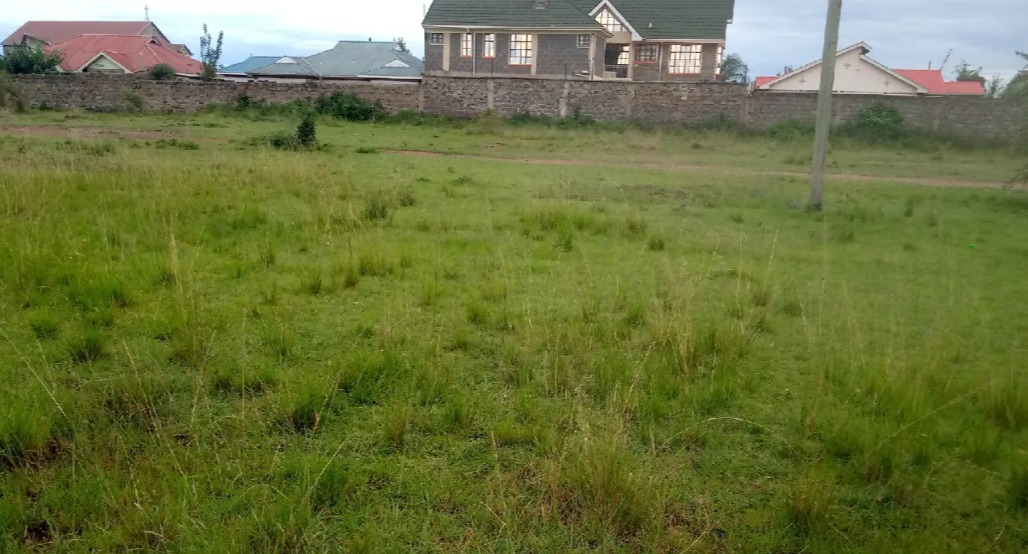 whatsapp image 2025 11 05 at 9.40.56 am